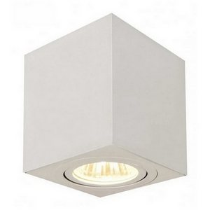 Изображение товара Точечный накладной светильник Citilux Djuren CL538211