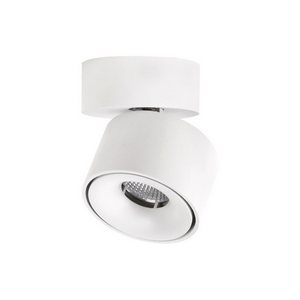 Изображение товара Накладной светодиодный светильник Citilux Стамп CL558010N