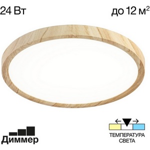 Изображение товара Настенно-потолочный светильник Citilux Бейсик CL738242V