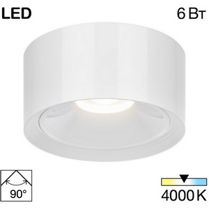 Изображение товара Светильник накладной светодиодный Citilux Rover CL743060N