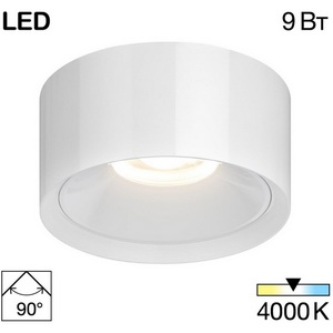 Изображение товара Светильник накладной светодиодный Citilux Rover CL743090N