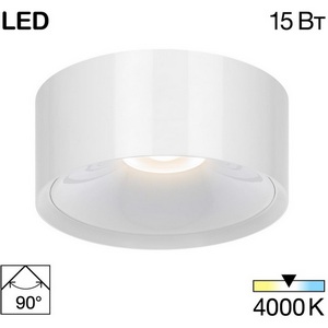 Изображение товара Светильник накладной светодиодный Citilux Rover CL743150N