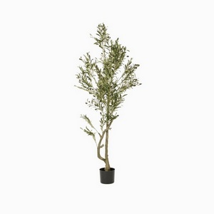 Изображение товара Оливковое дерево Cosmo Olive Tree NAL21-8810