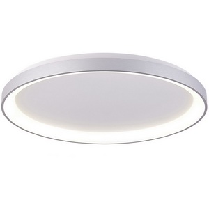 Изображение товара Потолочный светодиодный светильник круглый Deko-Light Merope 348192