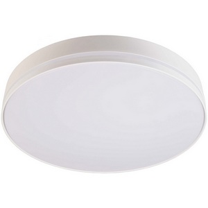 Изображение товара Потолочный светильник уличный IP54 LED Deko-Light Subra 401008