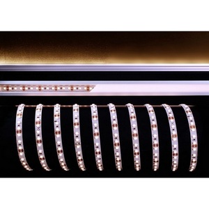 Изображение товара Светодиодная лента 12V Deko-Light SMD3528 840164
