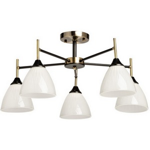 Изображение товара Потолочная люстра на штанге De City Дэла 116010405