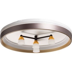 Изображение товара Потолочный светодиодный светильник круглый De City Норден 660014701