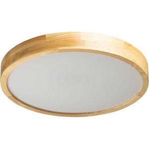 Изображение товара Потолочный светильник круглый светодиодный De City Норден 660015501