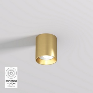 Изображение товара Потолочный светильник точечный алюминиевые светодиодный Denkirs Shine Tube DK2610-SB 10W сатинированная латунь