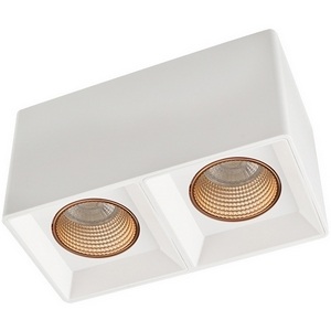 Изображение товара Потолочный светильник точечный светодиодный ip20 Denkirs DK3030 DK3085-WH+BR