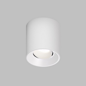 Изображение товара Накладной светильник светодиодный Denkirs DK3040 DK3090-WH