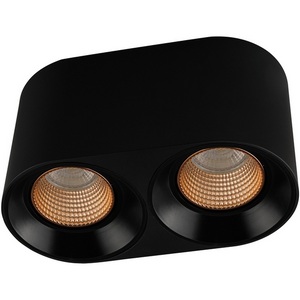 Изображение товара Накладной светильник светодиодный Denkirs DK3040 DK3096-BK+BR