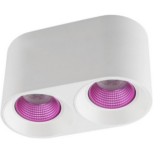 Изображение товара Накладной светильник светодиодный Denkirs DK3096-WH+PI