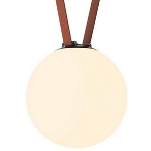 Изображение товара Трековый светильник низкоковольтный для ременной системы LED 48V Denkirs Belty Orb DK5555-BK