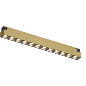Изображение товара Трековый светильник LED для магнитного шинопровода Denkirs Shine Grill DK5771-SB 48V 10W, сатинированная латунь
