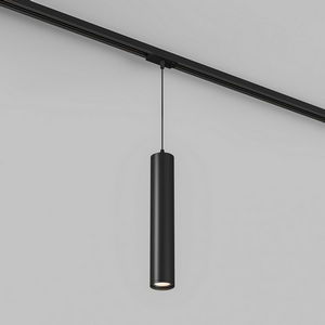 Изображение товара Трековый светильник однофазный 220V Denkirs DK620 DK6210-BK