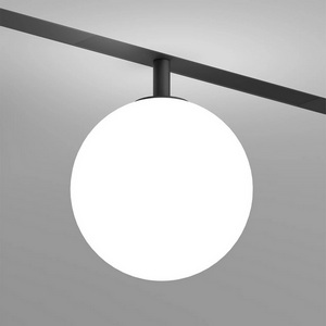 Изображение товара Трековый светильник LED с ПДУ 220V Denkirs Smart Mon DK8051-BK