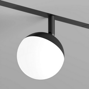 Изображение товара Трековый светильник LED 20V Denkirs Smart Mon DK8055-BK