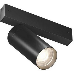 Изображение товара Трековый светильник однофазный, светодиодный 220V 20W Denkirs Smart Spot Zigbee DK8320-BK