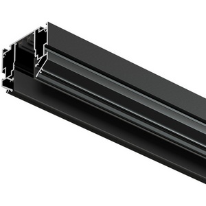 Изображение товара Профиль-трек SMART ONE для натяжных потолков 2 м Denkirs TR2022-BK