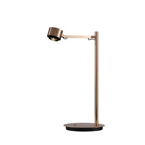 Изображение товара Настольная лампа DesignLed JY T-0367-1A-FG-WW