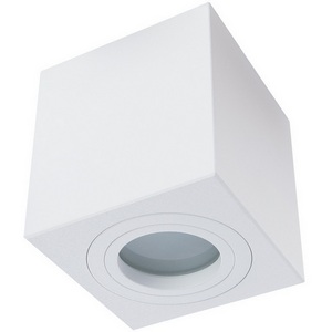 Изображение товара Потолочный светильник влагозащищенный настенно-потолочны 1461/03 PL-1 Divinare Galopin форма куба