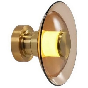 Изображение товара Настенно-потолочный светильник светодиодный Delight Collection 8665 8665W/S gold/amber