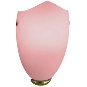 Изображение товара Бра Vistosi CALICE AP CALICE 22 RS OR