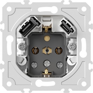 Изображение товара Механизм розетки с заземлением с USB Type A+С Donel DB DB19900