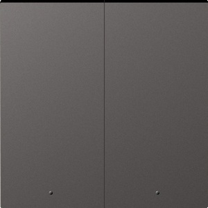 Изображение товара Клавиша 2-я с подсветкой, матовый титан Donel A07 DE28545