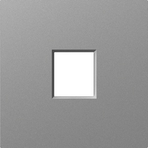 Изображение товара Накладка 1-я для розеток RJ45,TV,SAT, сталь Donel A07 DE85937