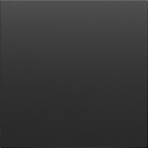 Изображение товара Заглушка, черный графит Donel S08 DS26857