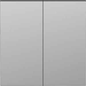 Изображение товара Клавиша для перекрёстного переключателя 2-я, сталь Donel S08 DS29937