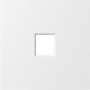 Изображение товара Накладка 1-я для розеток RJ45,TV,SAT, матовый белый Donel S08 DS85933