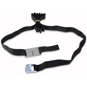 Изображение товара Ремень для фиксации светильника на дереве Donolux Alpha Belt DL20521