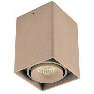 Изображение товара Накладной светильник Donolux Lumme DL18611/01WW-SQ Champagne