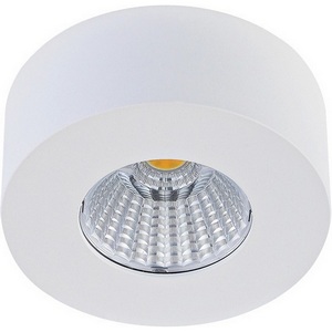 Изображение товара Накладной светильник влагостойкий светодиодный Donolux Mono DL18812/7W White R