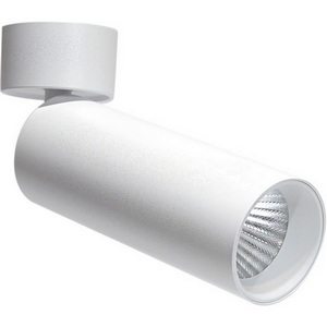 Изображение товара Спот Donolux Rollo DL18895R20W1W ST