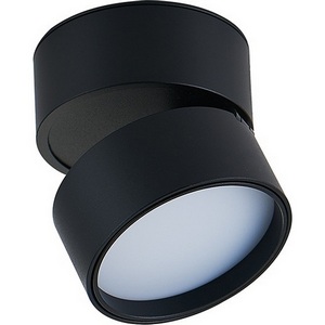 Изображение товара Накладной светильник светодиодный Donolux Bloom DL18960R12W1B