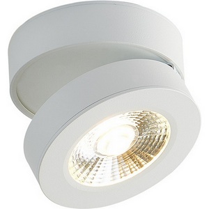 Изображение товара Накладной светильник светодиодный Donolux Sun DL18962R12W1W