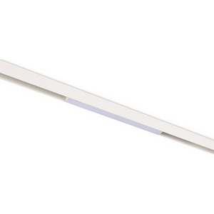 Изображение товара Трековый светодиодный светильник магнитный низковольтный 48V 16W, 3000К Donolux Line DL20293WW16W