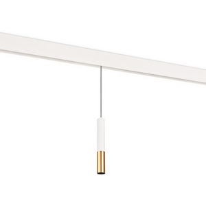 Изображение товара Трековый светодиодный светильник низковольтный 5Вт 48V Donolux Tandem DL20298WW5WS