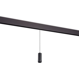 Изображение товара Трековый светодиодный светильник низковольтный 10W 48V Donolux Pratica DL20299WW10BS