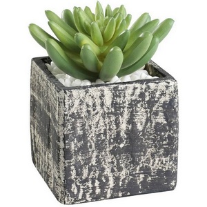 Изображение товара Искусственное растение в горшке Eglo Chitose 428007 L75, B75, H120, пластик, серый