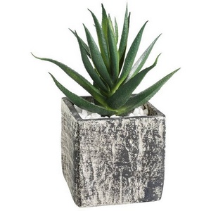 Изображение товара Искусственное растение в горшке Eglo Chitose 428008 L95, B95, H130, пластик, серый