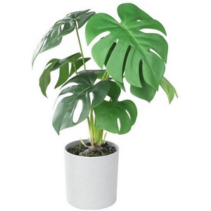 Изображение товара Искусственное растение в горшке Eglo Tobetsu 428017 H420, D300, пластик, серый