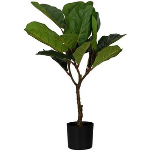 Изображение товара Искусственное растение в горшке Eglo Yubetsu 428021 H900, D500, пластик, зеленый, черный