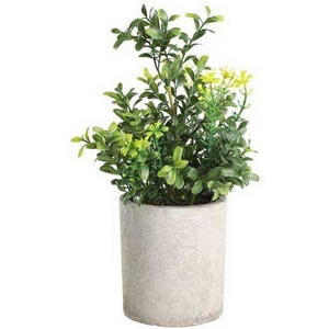 Изображение товара Искусственное растение в горшке Eglo Chitose 428025 H250, D150, пластик, коричневый, зеленый