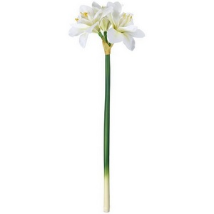 Изображение товара Искусственное растение Eglo Molave 428112 H630, D210, пластик/полиэстер/металл, белый